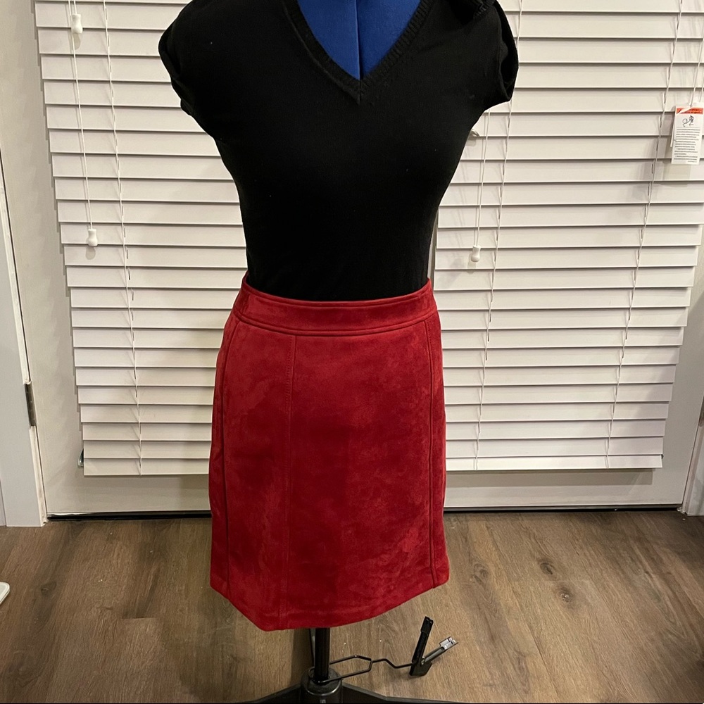 Loft Ann Taylor winter skirt
